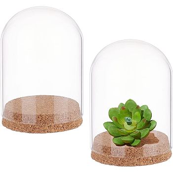 2 Sets High Borosilicate Glass Dome Cover, Decorative Display Case, Cloche Bell Jar Terrarium with Wood Cork Base, Clear, 90x120mm