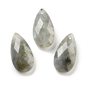 Natural Labradorite Pendants, Faceted Teardrop Charms, 24x12.5x6mm, Hole: 1.2mm