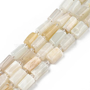 Natural White Moonstone Beads Strands, with Seed Beads, Faceted, Column, 8.5~12x5.5~7.5x4.5~7mm, Hole: 1.2mm, about 15~16pcs/strand, 7.09 inch~7.68 inch(18~19.5cm)(X-G-N327-06C)