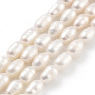 Natural Cultured Freshwater Pearl Beads Strands, Rice, Grade 3A, Snow, 4~5mm, Hole: 0.6mm, about 26~27pcs/strand, 7.09''~7.28''(18~18.5cm)(PEAR-P062-06E)