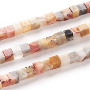 Natural Crazy Lace Agate Beads Strands, Cube, 4x4x4mm, Hole: 0.7mm, about 93pcs/Strand, 15.75 inch(40cm)(G-F631-K03)