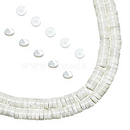 Nbeads Natural Trochid Shell/Trochus Shell Beads Strands, Flat Round/Disc, Floral White, 6x2mm, Hole: 0.8mm, about 172pcs/strand, 15.5 inch(39.5cm)(SSHEL-NB0001-35A)