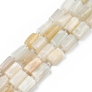 Natural White Moonstone Beads Strands, with Seed Beads, Faceted, Column, 8.5~12x5.5~7.5x4.5~7mm, Hole: 1.2mm, about 15~16pcs/strand, 7.09 inch~7.68 inch(18~19.5cm)