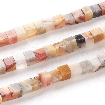 Natural Crazy Lace Agate Beads Strands, Cube, 4x4x4mm, Hole: 0.7mm, about 93pcs/Strand, 15.75 inch(40cm)