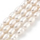 Natural Cultured Freshwater Pearl Beads Strands(PEAR-P062-06E)-1