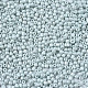 Glass Seed Beads(SEED-S060-A-F408)-3