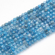 Natural Apatite Beads Strands, Faceted Round, 2mm, Hole: 0.3mm, about 200pcs/strand, 15.7 inch(G-T064-17-2mm)