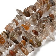 Natural Rutilated Quartz Beads Strands, Chip, 2.5~7x6~14x5~8mm, Hole: 0.8mm, 31.10~31.89''(79~81cm)(G-M205-92)