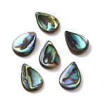 Natural Paua Shell Beads, Teardrop Top Drilled Beads, Colorful, 15~15.5x11~11.5x2~4mm, Hole: 0.9mm(SSHEL-F305-02A)