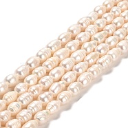 Natural Cultured Freshwater Pearl Beads Strands, Rice, Grade AB, Lime, 8~10x6~7mm, Hole: 0.7mm, about 36~37pcs/strand, 12.99~13.19''(33~33.5cm)(PEAR-E016-192)