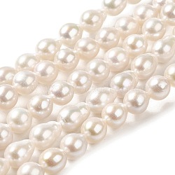 Natural Cultured Freshwater Pearl Beads Strands, Grade 5A, Round, Old Lace, 7~8x7mm, Hole: 0.5mm, about 51pcs/strand, 15.35''(39cm)(PEAR-E016-012)