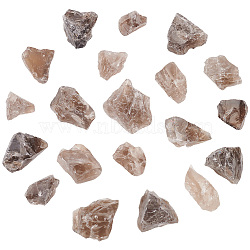 300G Raw Natural Smoky Quartz Display Decorations, Nuggets, 28~43x14~37x14.5~25mm(G-BC0001-47)