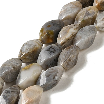 Natural Bamboo Leaf Agate Beads Strands, Twist, 9x16.5~17x9~9.5mm, Hole: 1mm, about 23~24pcs/strand, 15.47~15.55''(39.3~39.5cm)