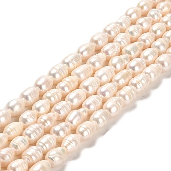 Natural Cultured Freshwater Pearl Beads Strands, Rice, Grade AB, Lime, 8~10x6~7mm, Hole: 0.7mm, about 36~37pcs/strand, 12.99~13.19''(33~33.5cm)