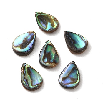 Natural Paua Shell Beads, Teardrop Top Drilled Beads, Colorful, 15~15.5x11~11.5x2~4mm, Hole: 0.9mm