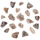 300G Raw Natural Smoky Quartz Display Decorations(G-BC0001-47)-1