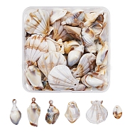 Acrylic Pendants,  Imitation Shell & Pearl Style, Shell, Floral White, 25x17x5mm, Hole: 1.6mm, 5.5g, about 8pcs(OACR-YW0001-23)