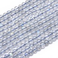 Natural Labradorite Beads Strands, Round, 3mm, Hole: 0.5mm, about 130pcs/Strand, 15.35 inch(39cm)(G-K305-04-A)