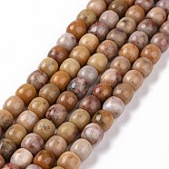 Natural Marble and Sesame Jasper/Kiwi Jasper Beads Strands, Column, 7.8~8x8.3mm, Hole: 1.4mm, about 48pcs/strand, 15.35''(39cm)(G-G990-C04)