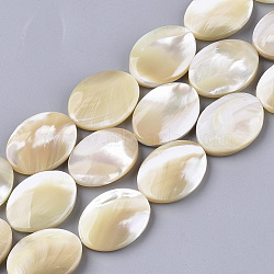 Natural Trochid Shell/Trochus Shell Beads Strands, Oval, Navajo White, 20x15x4.5~5.5mm, Hole: 1mm, about 20pcs/Strand, 15.75 inch(SHEL-T013-006A-01)