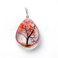 Transparent Glass Pendants, with Dride Flower inside and Zinc Alloy Finding, Teardrop, Platinum, Red, 35.5x18x9mm, Hole: 3.5x4.5mm(GLAA-SZC0001-01H)