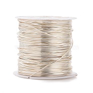 Round Copper Wire Copper Beading Wire for Jewelry Making, Long-Lasting Plated, Silver Color Plated, 21 Gauge, 0.7mm, about 42.65 Feet(13m)/roll(CWIR-F001-S-0.7mm)