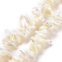 Natural Trochid Shell Beads Strands, Chip, White, 2~11x22~25x5~8mm, Hole: 0.8mm, about 93~148pcs/strand, 14.57~15.94 inch(37~40.5cm)(X-SSHEL-G023-05B)