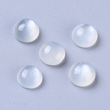 Natural White Moonstone Cabochons, Half Round/Dome, 6x3mm