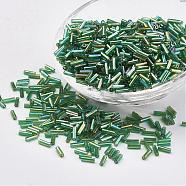 Glass Bugle Beads, Transparent Colours Rainbow, Lime Green, 5x2mm, Hole: 0.5mm, about 16000pcs/bag(SEED-E001-5mm-167)