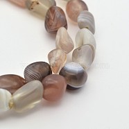 Natural Botswana Agate Bead Strands, Nuggets, 5~7X5~7mm, Hole: 1mm, about 15.7 inch(G-P070-52)