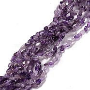 Natural Amethyst Beads Strands, Tumbled Stone, Chip, 3~5x3~5x3~8mm, Hole: 1mm, about 85~90pcs/strand, 15.7 inch(40cm)(G-F465-51)