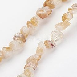 Natural Citrine Bead Strands, Nuggets, 8~15x4~8mm, Hole: 1mm, about 40~50pcs/strand, 14.5 inch(37cm)(G-G950-S-07)
