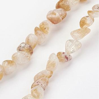 Natural Citrine Bead Strands, Nuggets, 8~15x4~8mm, Hole: 1mm, about 40~50pcs/strand, 14.5 inch(37cm)