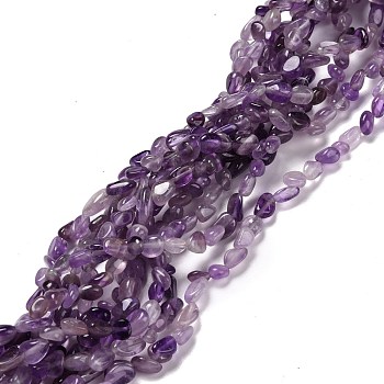 Natural Amethyst Beads Strands, Tumbled Stone, Chip, 3~5x3~5x3~8mm, Hole: 1mm, about 85~90pcs/strand, 15.7 inch(40cm)