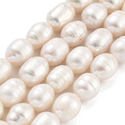 Natural Cultured Freshwater Pearl Beads Strands, Grade A, Rice, Snow, 9~10mm, Hole: 0.6mm, about 19pcs/strand, 6.69~6.89''(17~17.5cm)(PEAR-P062-13C)