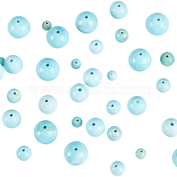 120Pcs 4 Style Natural Howlite Beads, Dyed & Heated, Round, 30pcs/style(G-CA0001-24)