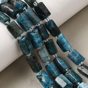 Natural Apatite Beads Strands, Column, Faceted, with Seed Beads, 10.5~12.5x7~7.5mm, Hole: 1mm, about 14~15pcs/strand, 7.48''~7.89''(19~20.05cm)