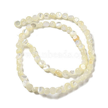 Natural White Shelll Beads Strands(SSHEL-H072-03)-2