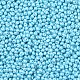 6/0 Glass Seed Beads(SEED-L011-08A-13)-3