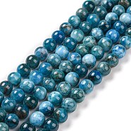 Natural Apatite Beads Strands, Grade AB, Round, 8mm, Hole: 1mm, about 25~26pcs/strand, 7.68 inch(G-S333-8mm-031A)