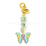 Alloy Enamel Butterfly Pendant Decoration, Natural Prehnite Chips and Lobster Claw Clasps Charms, 64mm(HJEW-JM01555-02)