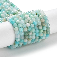 Natural Amazonite Beads Strands, Round, 4mm, Hole: 0.8mm, about 103~105pcs/strand, 14.96~15.16''(38~38.5cm)(G-J400-D01-01)