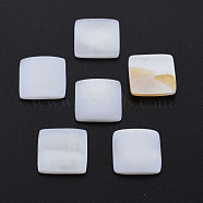 Natural Freshwater Shell Cabochons, Square, White, 11.5x11.5x2.5mm(SHEL-S278-050)