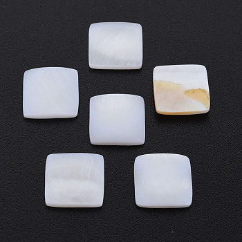 Natural Freshwater Shell Cabochons, Square, White, 11.5x11.5x2.5mm