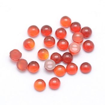 Natural Carnelian Cabochons, Half Round, 3x1.8~2mm
