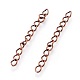 Iron Ends with Twist Chains(CH-CH017-5cm-R)-1