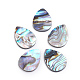 Natürliche Abalone Muschel / Paua Muschel Cabochons(X-SSHEL-L017-002)-1