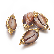 Natural Conch Shell Links connectors, with Brass Findings, Cowrie Shell, Golden, 41~45x23~25x15~16mm, Hole: 1.8mm(PEAR-F015-42)