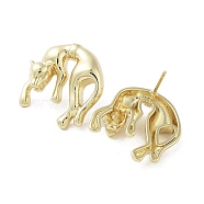 Rack Plating Brass Stud Earring, Cadmium Free & Lead Free, Long-Lasting Plated, Leopard, Real 18K Gold Plated, 21x20mm(EJEW-C081-26G)
