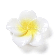 Opaque Resin Cabochons, Plumeria Flower, WhiteSmoke, 20x20.5x6.5mm(RESI-G068-02F)